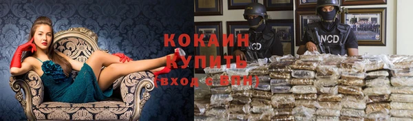 твердый Белокуриха